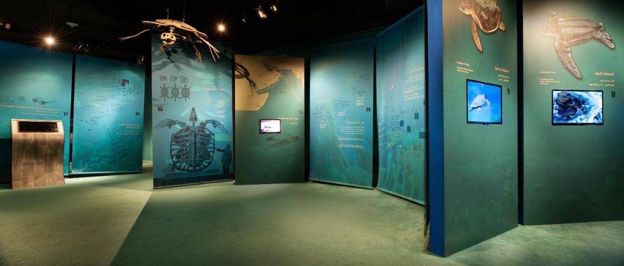 Ras Al Jinz Turtle Reserve Al Hadd Eksteriør billede