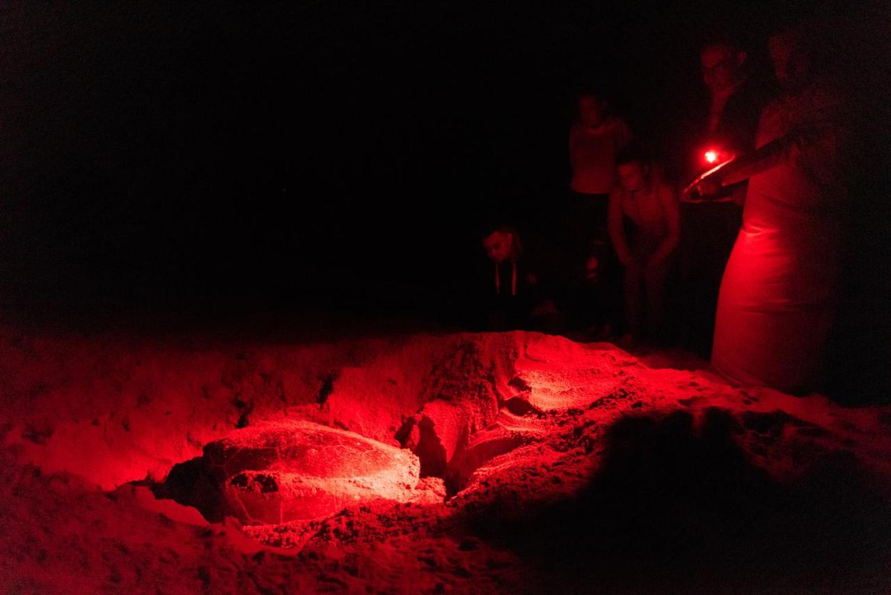 Ras Al Jinz Turtle Reserve Al Hadd Eksteriør billede