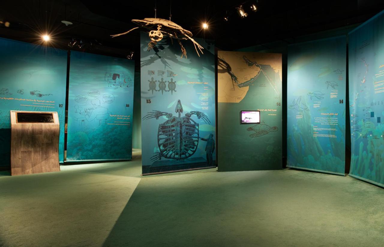 Ras Al Jinz Turtle Reserve Al Hadd Eksteriør billede